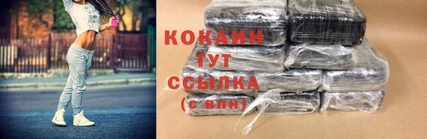 стаф Надым