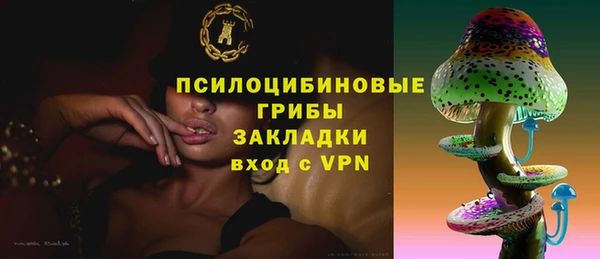 стаф Надым