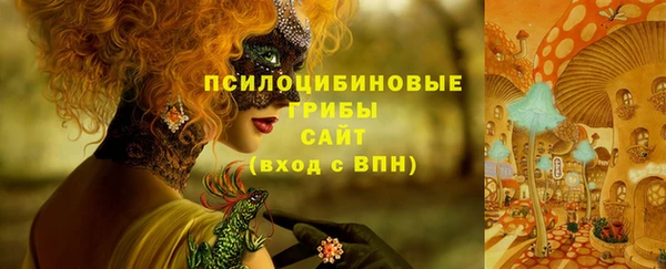 стаф Надым