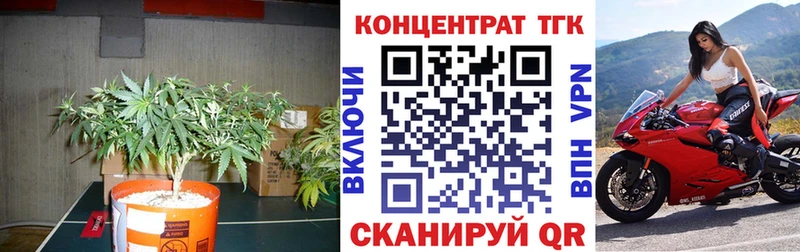 мориарти Telegram  Октябрьск  ТГК Wax 