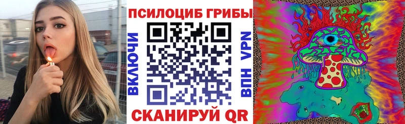 Псилоцибиновые грибы Psilocybine cubensis  hydra зеркало  даркнет состав  купить наркоту  Октябрьск 